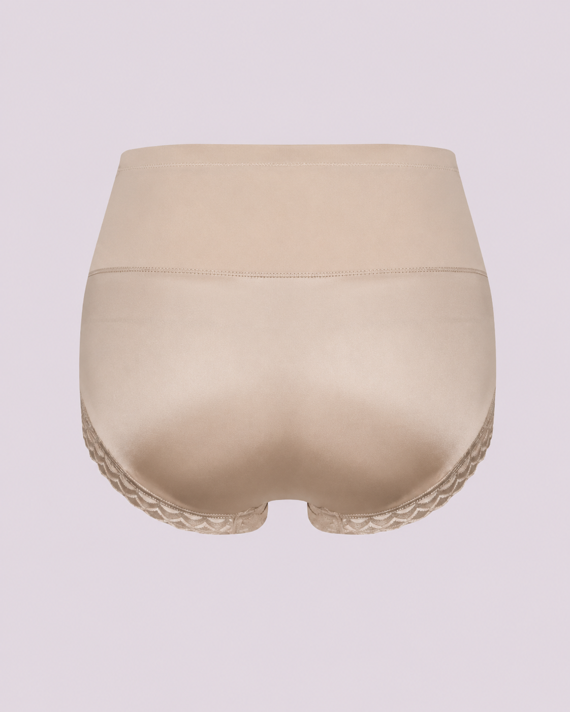 Tummy Control High-Waist Lace Panel Shaping Briefs