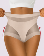 Sculpting High-Rise Sheer Panel Control Briefs