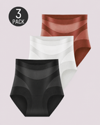 Sculpting High-Rise Sheer Panel Control Briefs