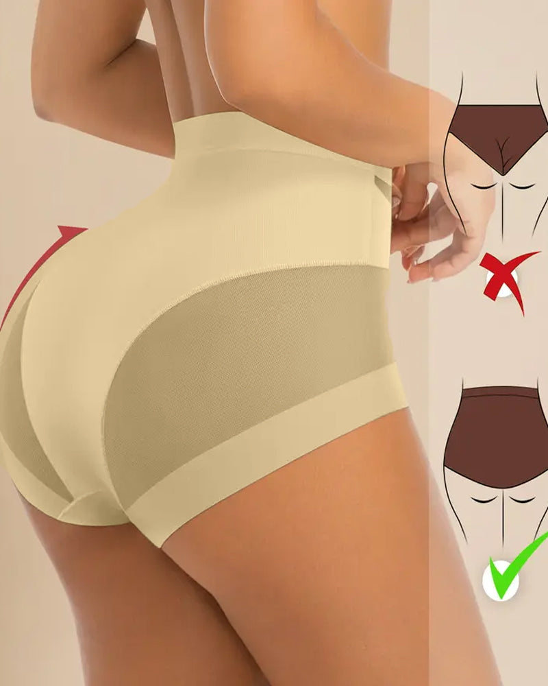 Sculpting High-Rise Sheer Panel Control Briefs