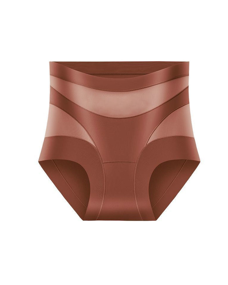 Sculpting High-Rise Sheer Panel Control Briefs