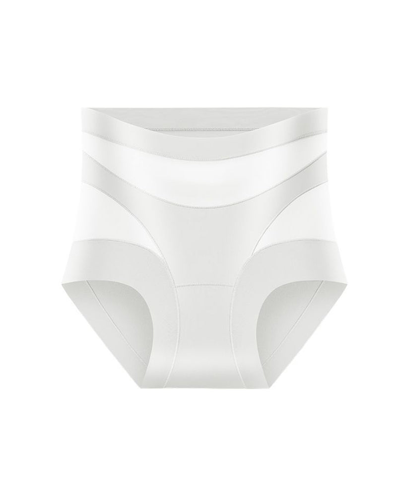 Sculpting High-Rise Sheer Panel Control Briefs