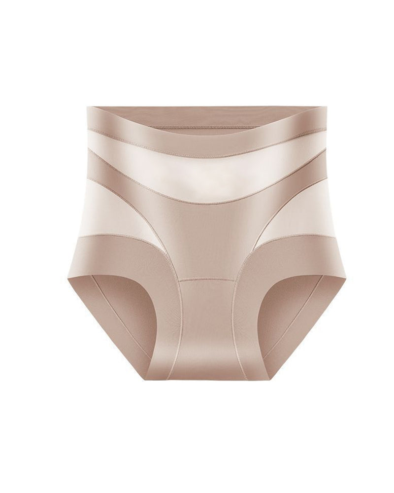 Sculpting High-Rise Sheer Panel Control Briefs