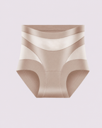 Sculpting High-Rise Sheer Panel Control Briefs