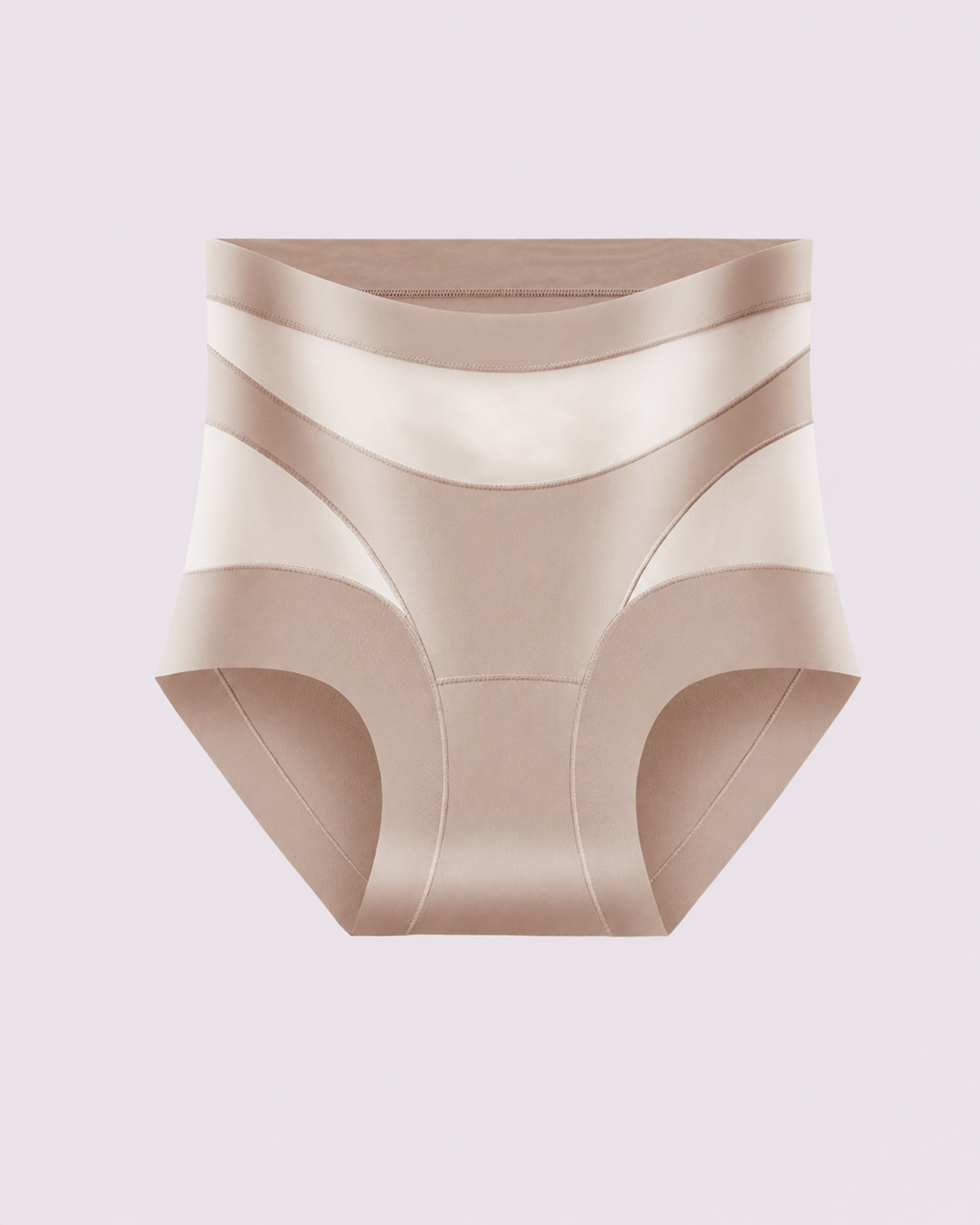 Sculpting High-Rise Sheer Panel Control Briefs