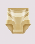Sculpting High-Rise Sheer Panel Control Briefs