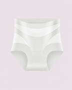 Sculpting High-Rise Sheer Panel Control Briefs
