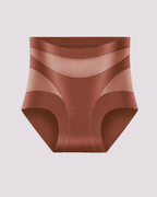 Sculpting High-Rise Sheer Panel Control Briefs