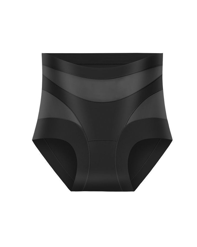 Sculpting High-Rise Sheer Panel Control Briefs