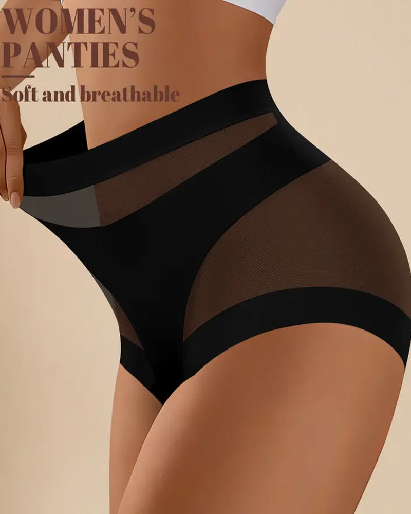Sculpting High-Rise Sheer Panel Control Briefs