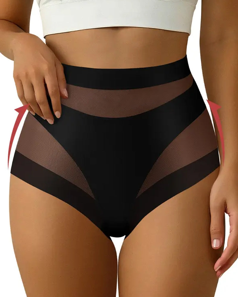 Sculpting High-Rise Sheer Panel Control Briefs Main image